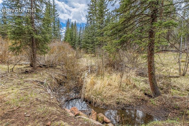 MLS Image for 153  Moss Rock  ,Divide, Colorado