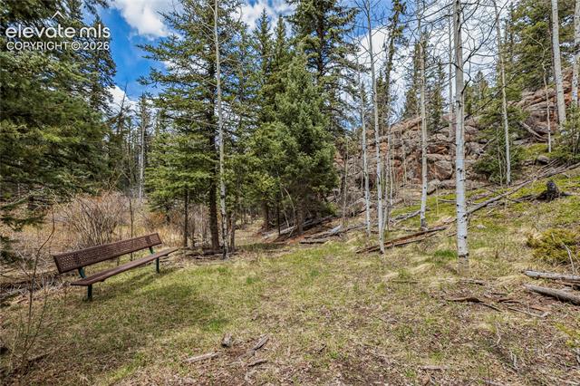 MLS Image for 153  Moss Rock  ,Divide, Colorado