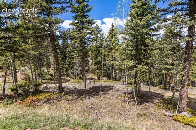 MLS Image for 153  Moss Rock  ,Divide, Colorado