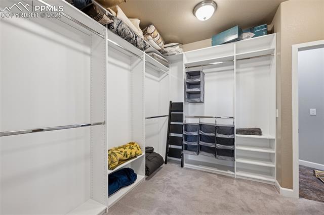 MLS Image for 4723  Portillo  ,Colorado Springs, Colorado
