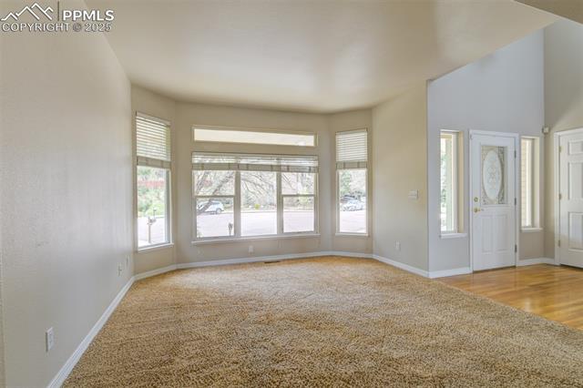 MLS Image for 210  Cliff Falls  ,Colorado Springs, Colorado