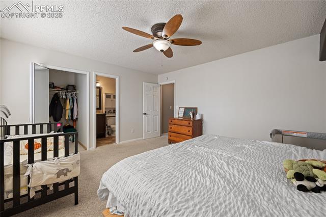 MLS Image for 3455  Sun River  ,Colorado Springs, Colorado