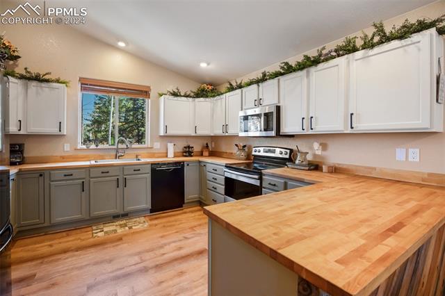 MLS Image for 831  Trout Haven  ,Florissant, Colorado