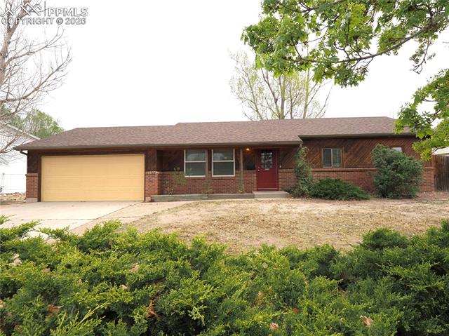 MLS Image for 7557  Stampede  ,Colorado Springs, Colorado