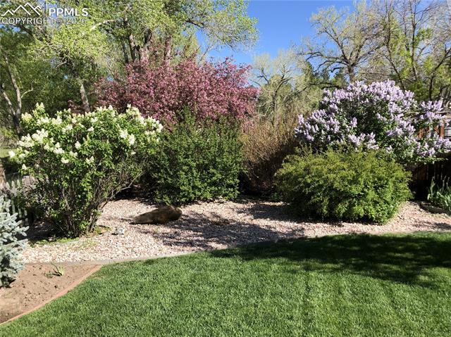 MLS Image for 41  El Dorado  ,Colorado Springs, Colorado