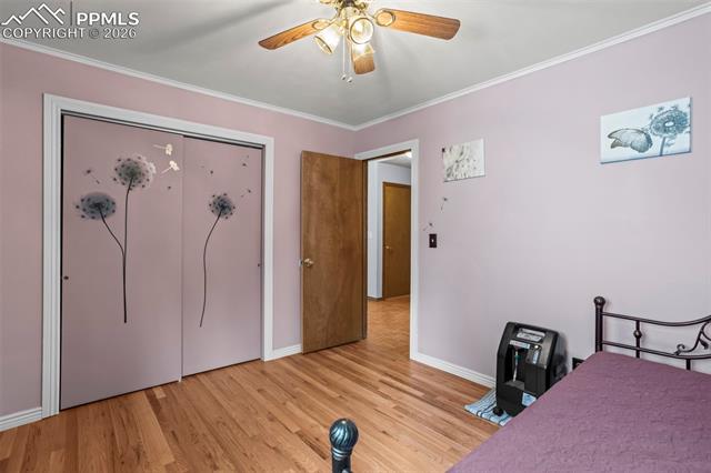 MLS Image for 8685  Boxelder  ,Colorado Springs, Colorado