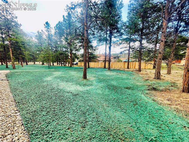 MLS Image for 1279  Firestone  ,Woodland Park, Colorado