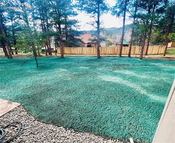MLS Image for 1279  Firestone  ,Woodland Park, Colorado
