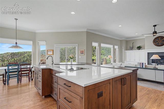 MLS Image for 3355  Angelstone  ,Colorado Springs, Colorado