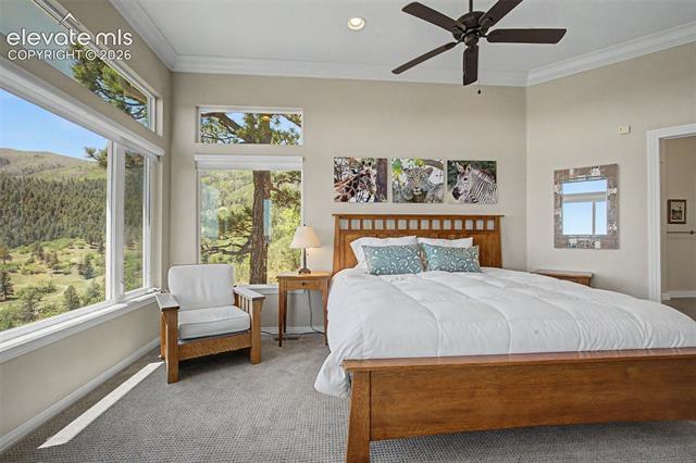 MLS Image for 3355  Angelstone  ,Colorado Springs, Colorado