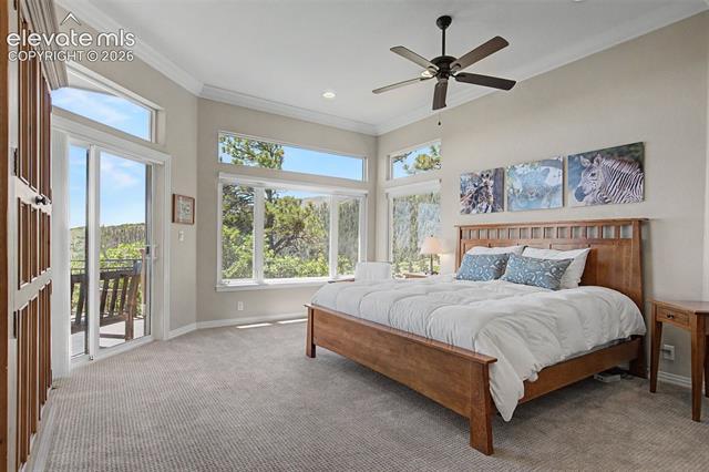 MLS Image for 3355  Angelstone  ,Colorado Springs, Colorado