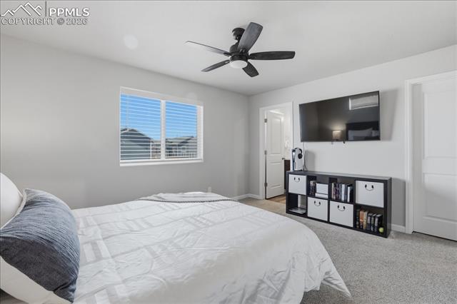 MLS Image for 6840  Alsea  ,Colorado Springs, Colorado
