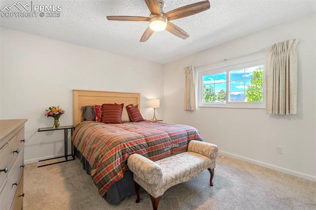 MLS Image for 4781  Turquoise  ,Colorado Springs, Colorado