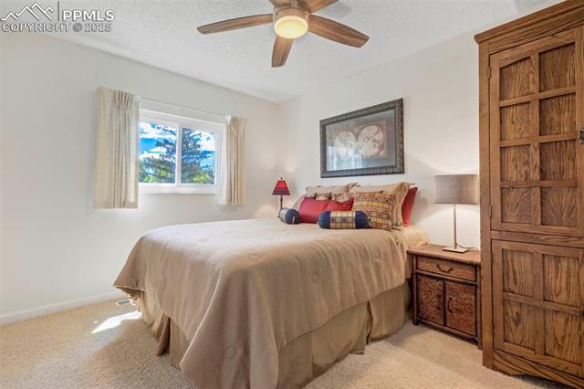MLS Image for 4781  Turquoise  ,Colorado Springs, Colorado