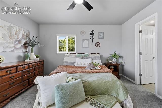MLS Image for 3665  Brisbane  ,Colorado Springs, Colorado