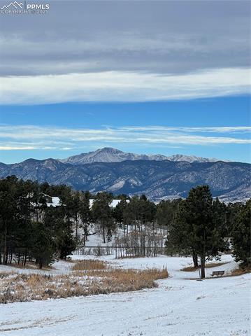 MLS Image for 1185  Fawnwood  ,Monument, Colorado