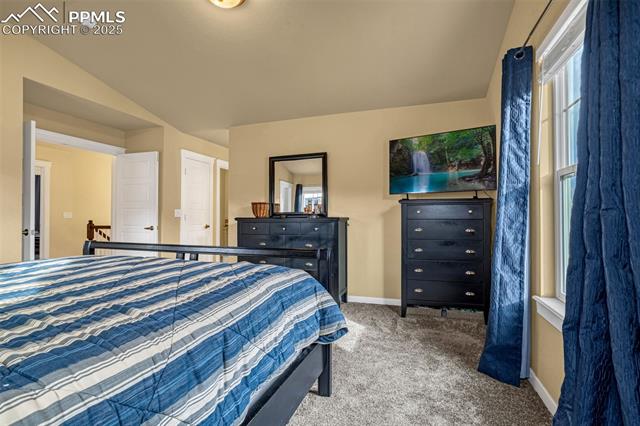 MLS Image for 1784  Portland Gold  ,Colorado Springs, Colorado