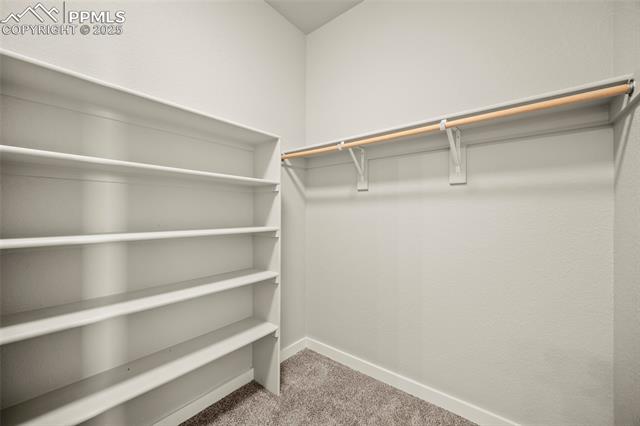 MLS Image for 454  Eclipse  ,Colorado Springs, Colorado