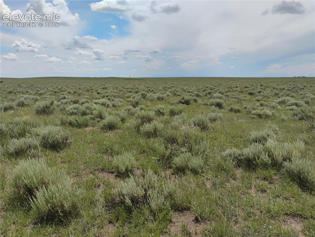 MLS Image for 8345 S Calhan  ,Calhan, Colorado