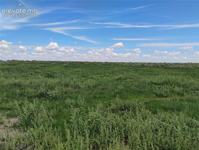MLS Image for 8345 S Calhan  ,Calhan, Colorado