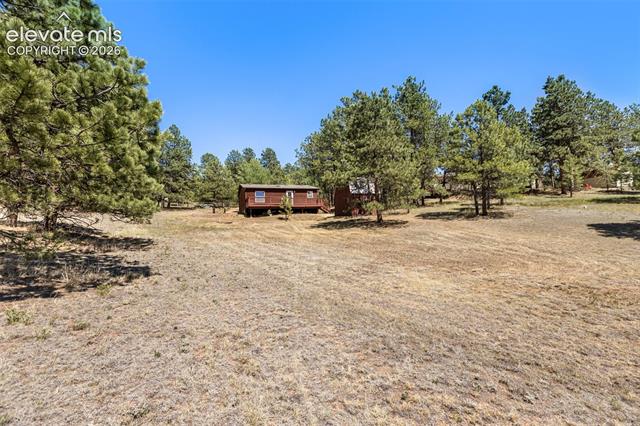 MLS Image for 331  Rhyolite  ,Florissant, Colorado