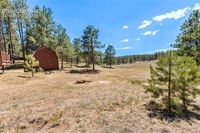 MLS Image for 331  Rhyolite  ,Florissant, Colorado