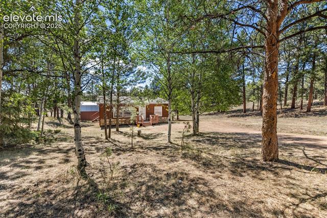 MLS Image for 331  Rhyolite  ,Florissant, Colorado