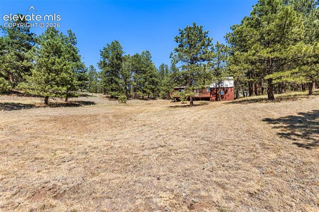 MLS Image for 331  Rhyolite  ,Florissant, Colorado