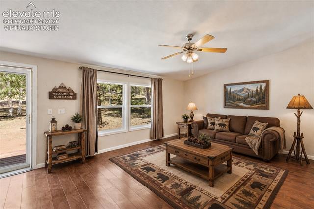MLS Image for 331  Rhyolite  ,Florissant, Colorado