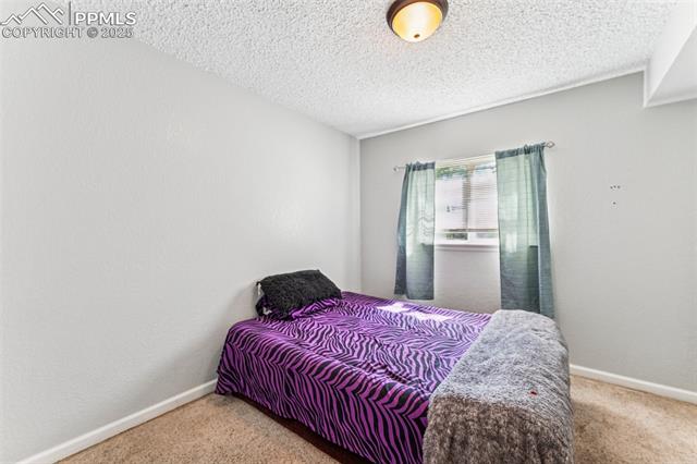 MLS Image for 604  Blossom Field  ,Fountain, Colorado