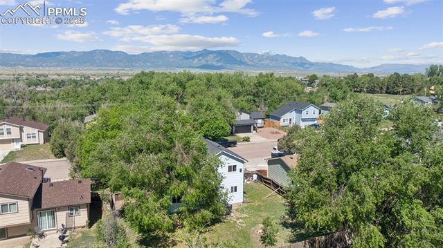 MLS Image for 604  Blossom Field  ,Fountain, Colorado