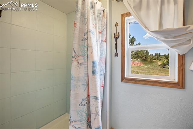 MLS Image for 1517  County Road 21  ,Woodland Park, Colorado