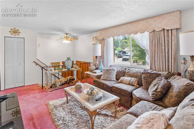 MLS Image for 926  Cardinal  ,Colorado Springs, Colorado