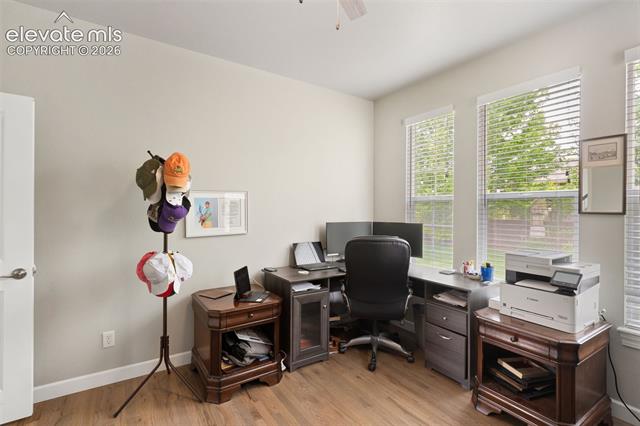 MLS Image for 3415  Limber Pine  ,Colorado Springs, Colorado