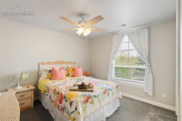 MLS Image for 3415  Limber Pine  ,Colorado Springs, Colorado