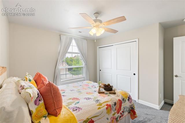 MLS Image for 3415  Limber Pine  ,Colorado Springs, Colorado