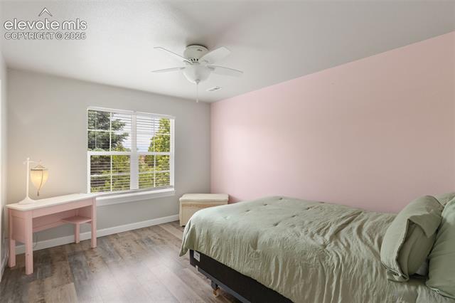 MLS Image for 3415  Limber Pine  ,Colorado Springs, Colorado