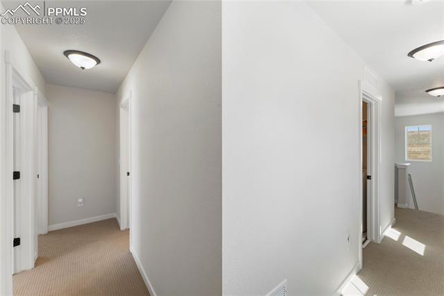 MLS Image for 5894  Spring Breeze  ,Colorado Springs, Colorado