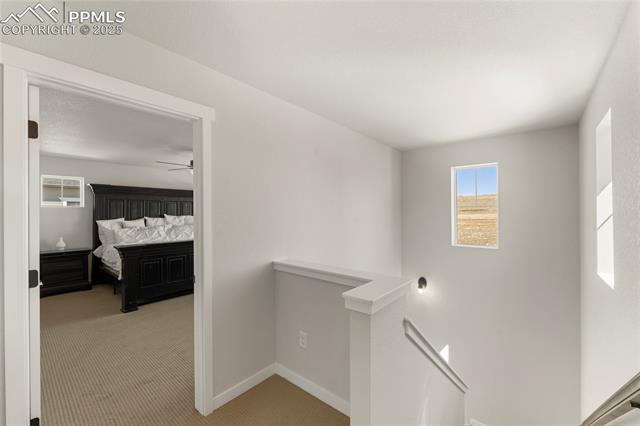 MLS Image for 5894  Spring Breeze  ,Colorado Springs, Colorado