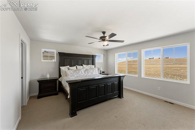 MLS Image for 5894  Spring Breeze  ,Colorado Springs, Colorado