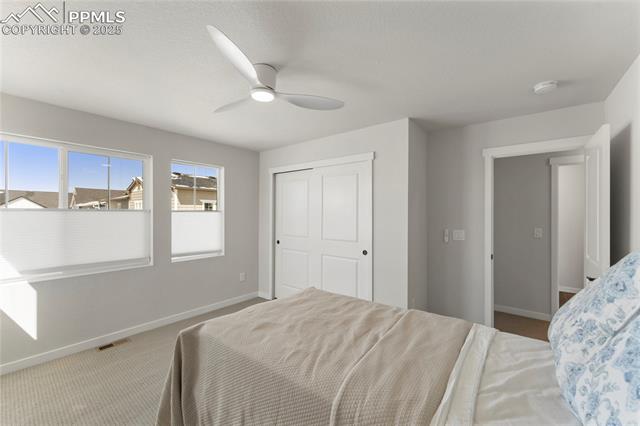 MLS Image for 5894  Spring Breeze  ,Colorado Springs, Colorado