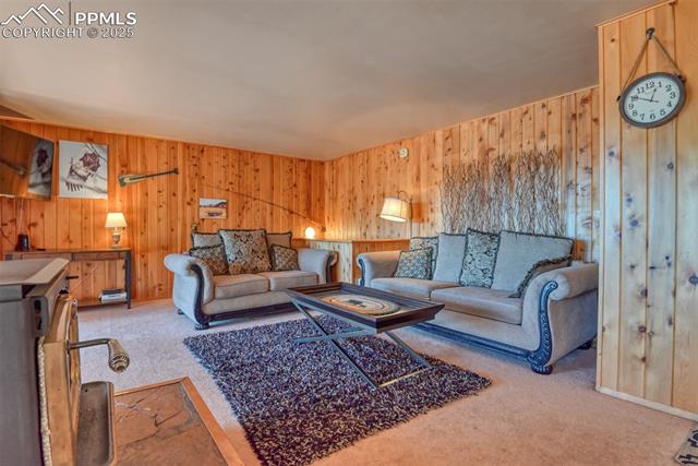 MLS Image for 6  Pike View  ,Divide, Colorado