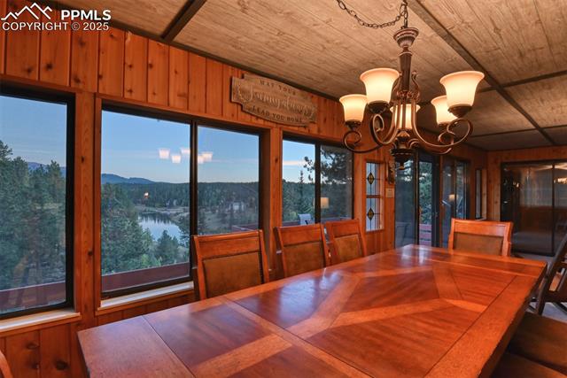 MLS Image for 6  Pike View  ,Divide, Colorado