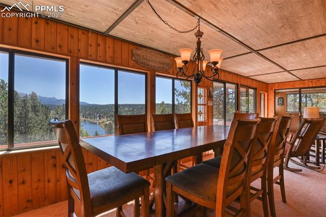 MLS Image for 6  Pike View  ,Divide, Colorado