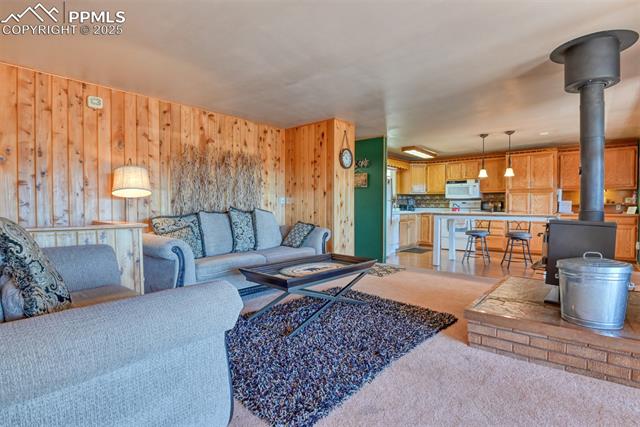 MLS Image for 6  Pike View  ,Divide, Colorado