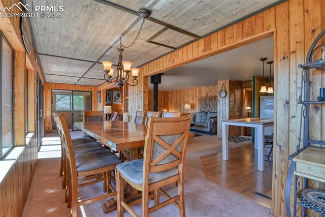 MLS Image for 6  Pike View  ,Divide, Colorado