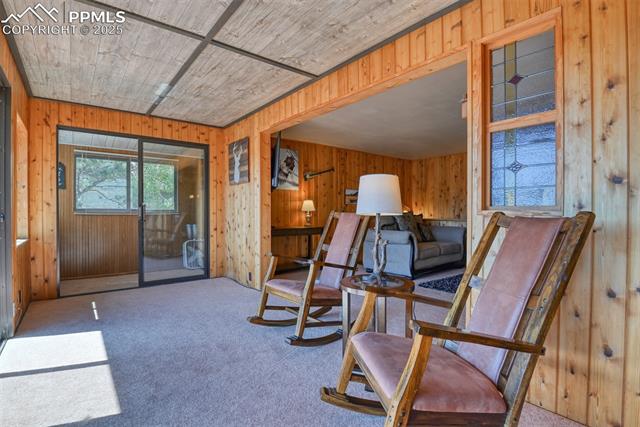 MLS Image for 6  Pike View  ,Divide, Colorado