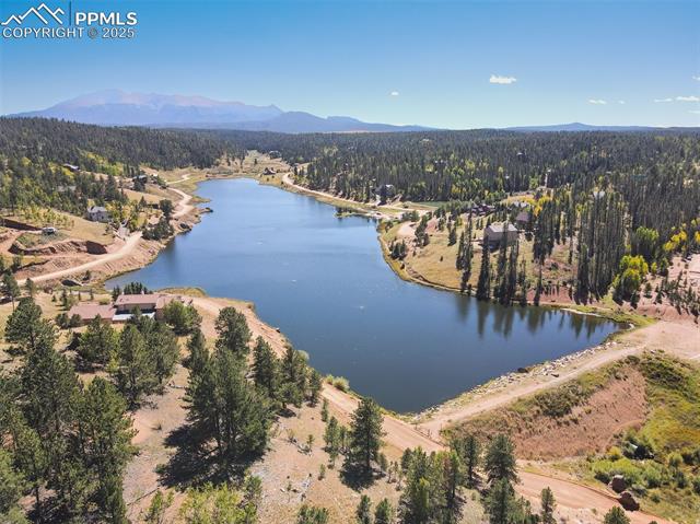MLS Image for 6  Pike View  ,Divide, Colorado