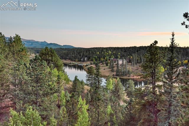 MLS Image for 6  Pike View  ,Divide, Colorado