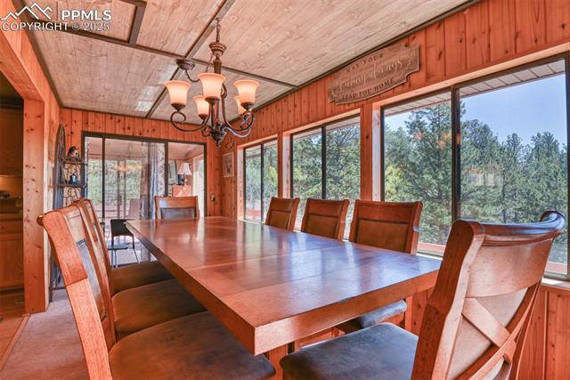 MLS Image for 6  Pike View  ,Divide, Colorado
